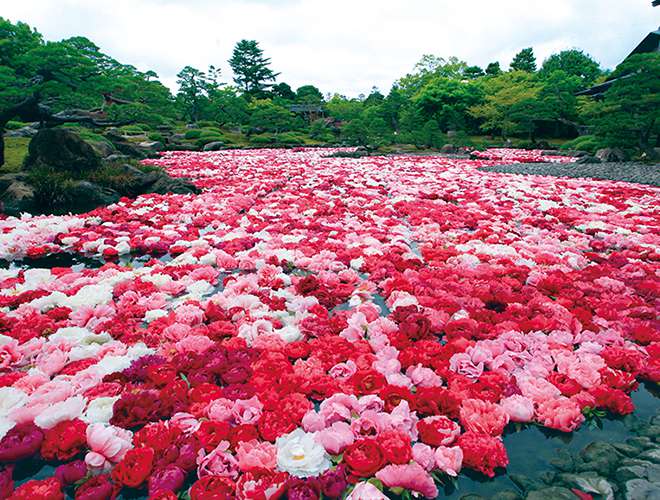 日本庭園 由志園