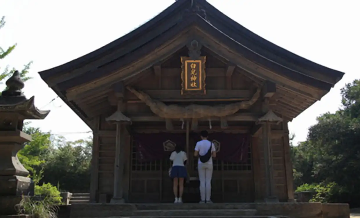 鳥白兎神社